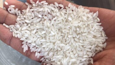   أسعار الأرز الشعير اليوم